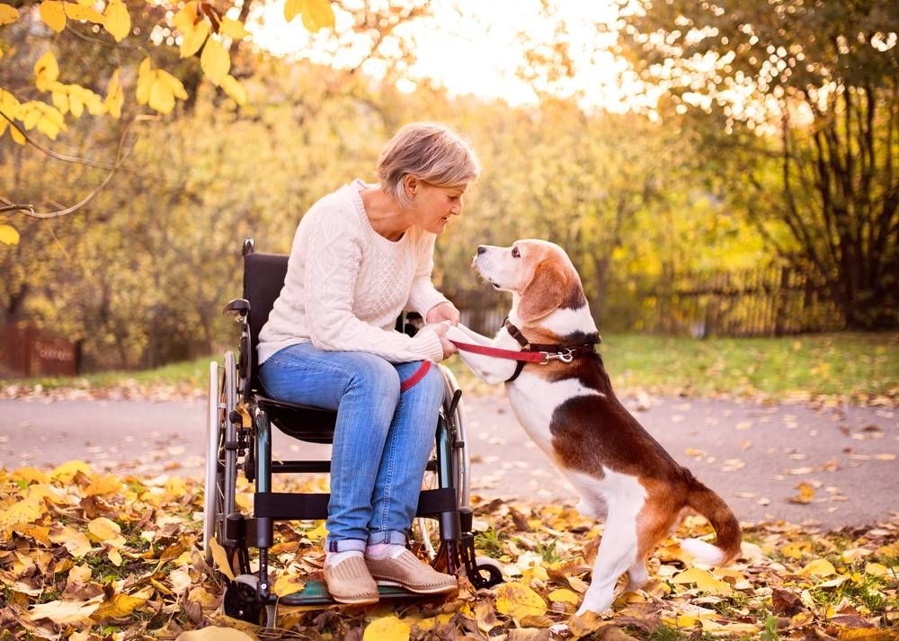 woman in wheelchair petting her dog