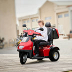 Afikim Afiscooter S3 Electric Mobility Scooter