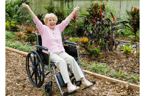 Wheelchair for Seniors